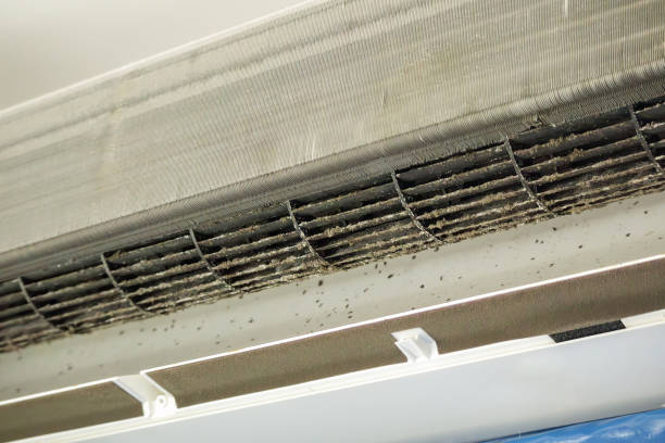 Best Dryer Vent Cleaning Services  in Baxter Springs, KS